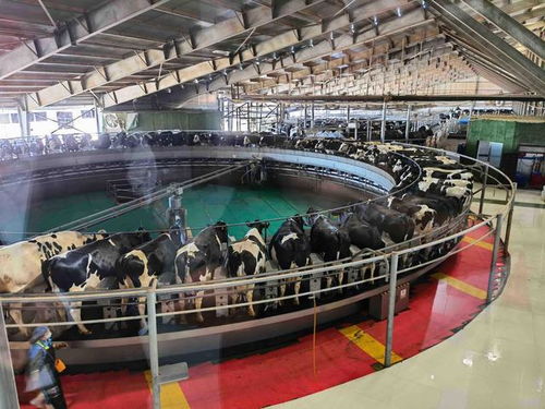 甘肃 特色产品 销往大湾区,大湾区智能制造企业也 西北行