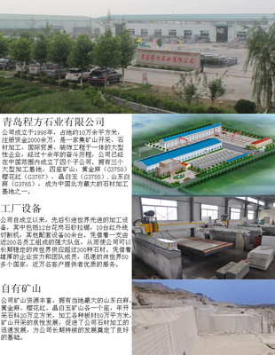 程方石业厂家直销 山东白麻盲道石 天然白灰色花岗岩盲道石